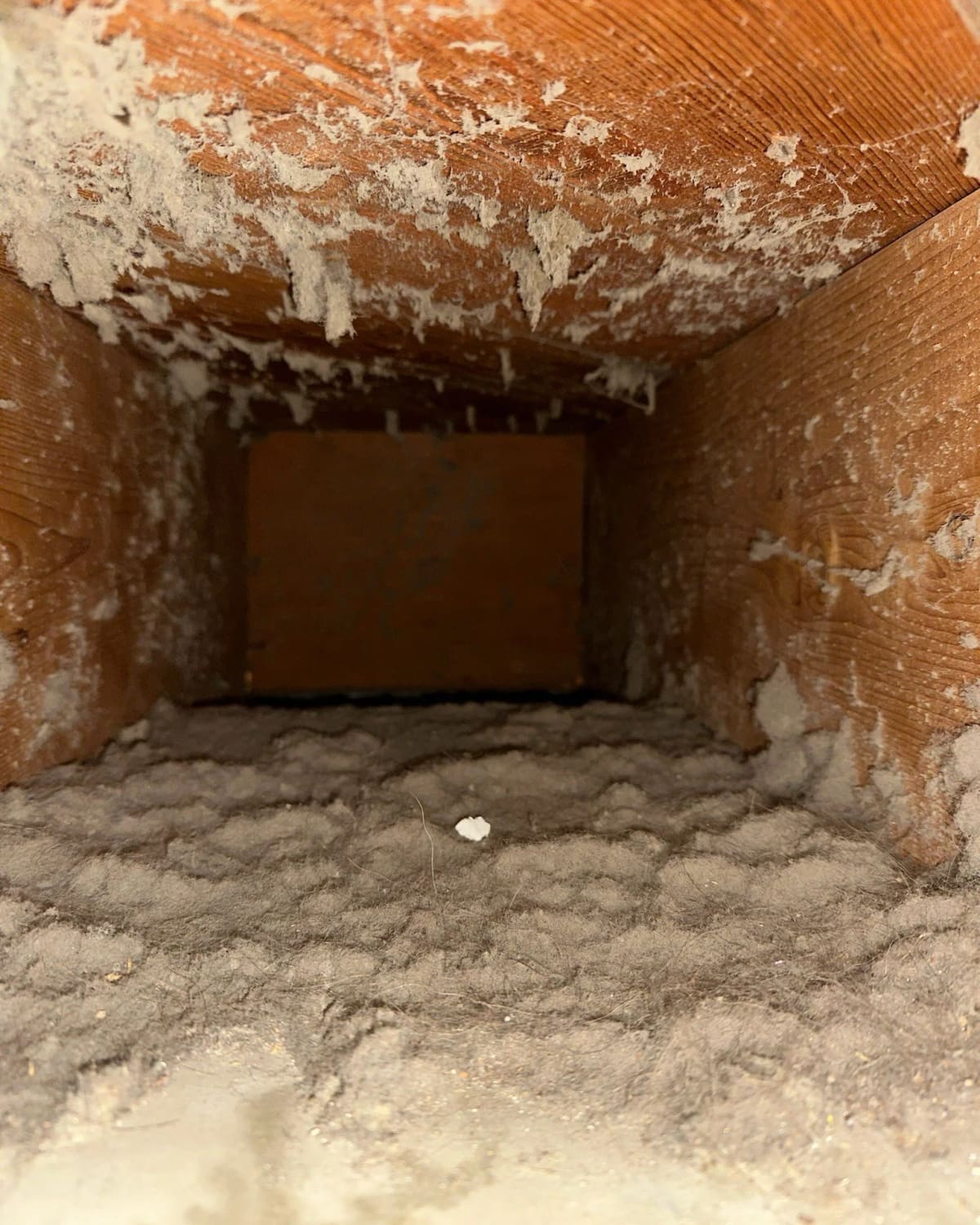 Inside a furnace duct trunk thickly caked with dust and debris before cleaning