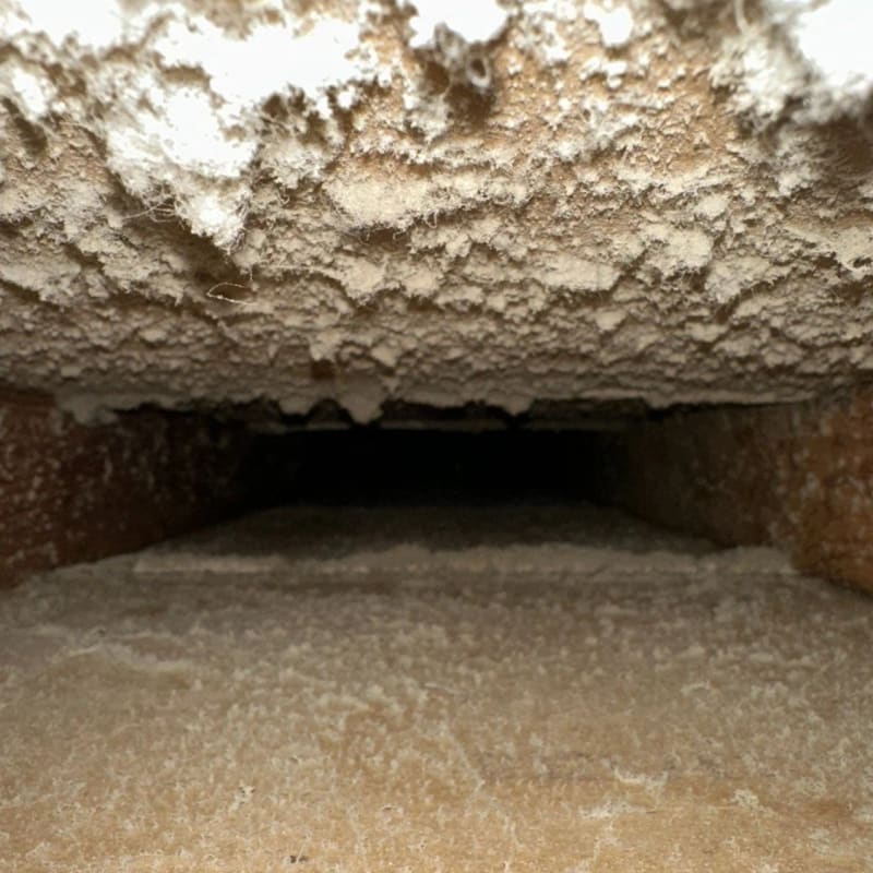 Ceiling trunk line — before and after — before